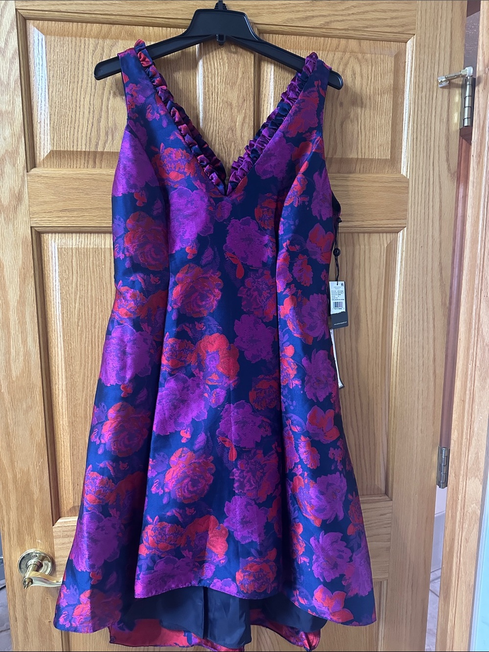 Adrianna Papell Purple and Red Floral V-Neck A-Line Dress